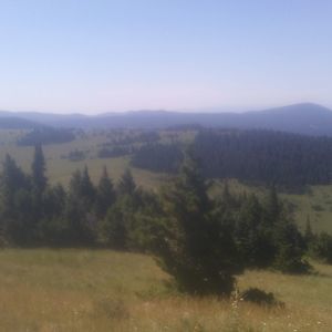 Meet your Posher, Lee